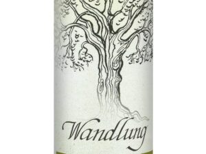 Allgäuer Heilkräuter-Kerze – Wandlung (Geist der Bäume)